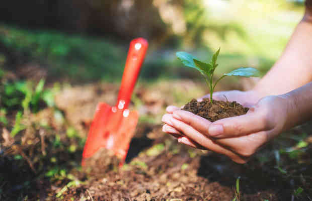 Farming The Future (2) (1)