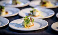 Catering (1)