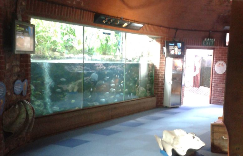 Aquarium 3