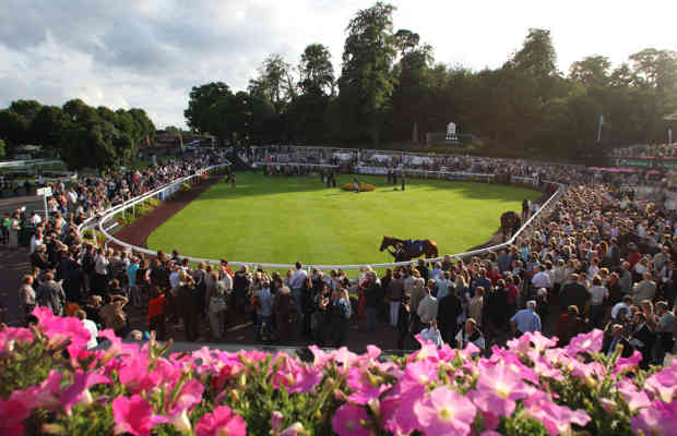 The Parade Ring Sandown Park 46904554661 O