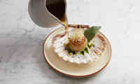 210511 RA FD Handdivedscallops 075