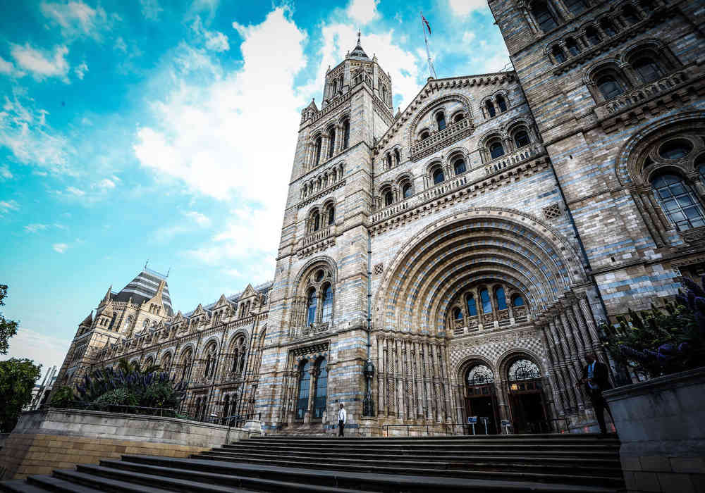 BAZ Compass Event 2022 Nat. Hist. Museum 1 (1)