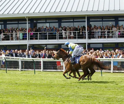 Nottingham Racecourse Horses 32005483207 O