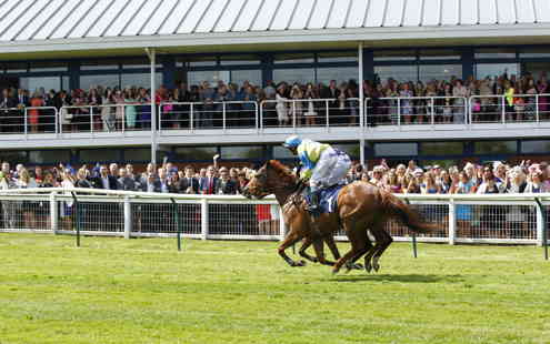 Nottingham Racecourse Horses 32005483207 O