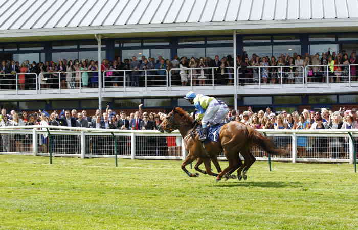 Nottingham Racecourse Horses 32005483207 O