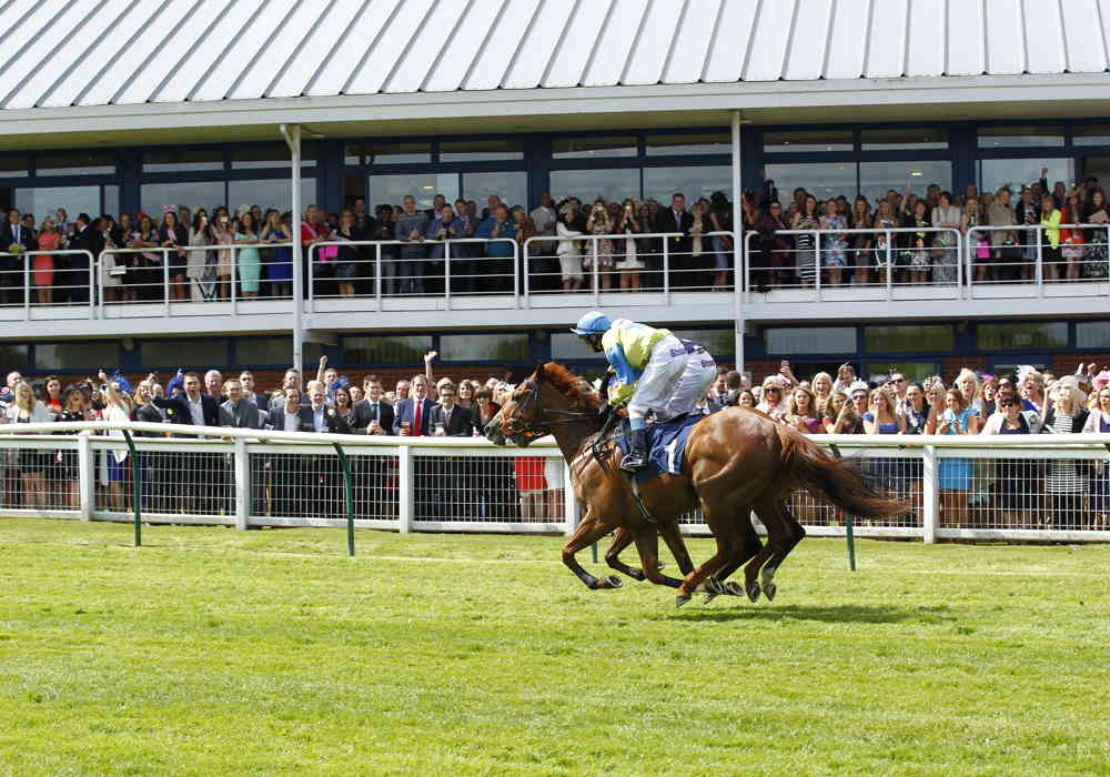 Nottingham Racecourse Horses 32005483207 O