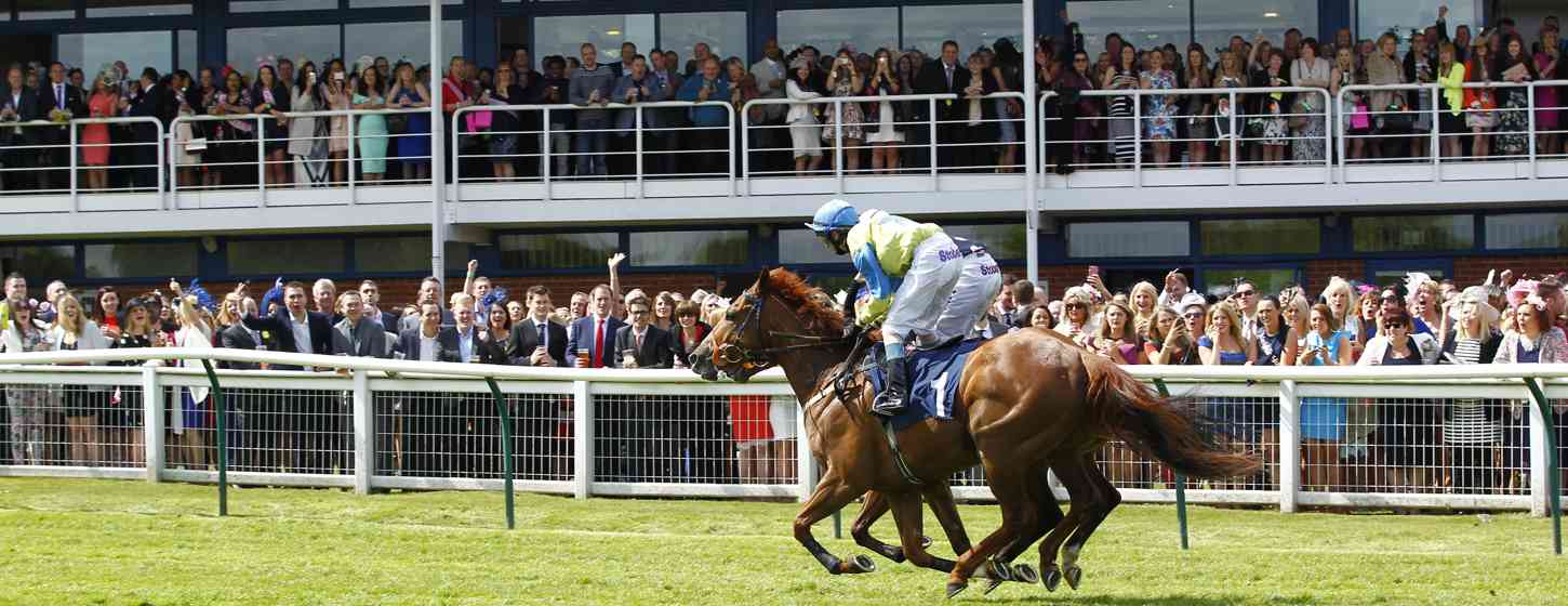 Nottingham Racecourse Horses 32005483207 O