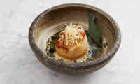 210511 RA FD Handdivedscallops 101