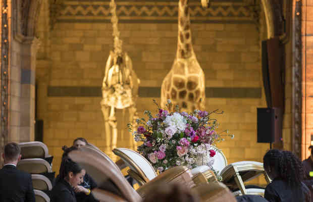 Hintze Hall Set Up Natural History Museum 32984905978 O