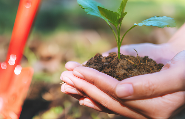 Farming The Future Cropped