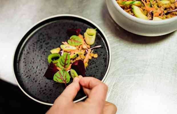 Levy Catering