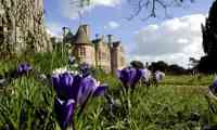 Bluebells At Beaulieu 45922970975 O