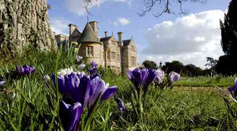 Bluebells At Beaulieu 45922970975 O