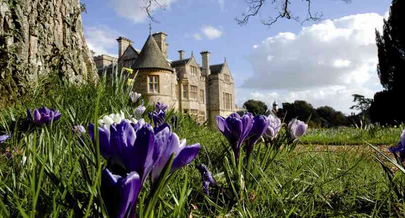 Bluebells At Beaulieu 45922970975 O