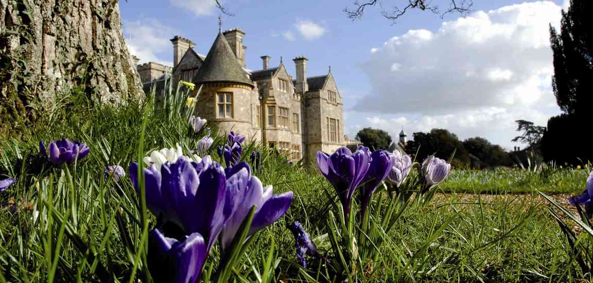 Bluebells At Beaulieu 45922970975 O