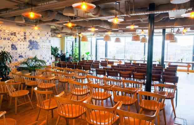 Rucola Panel Facing Window