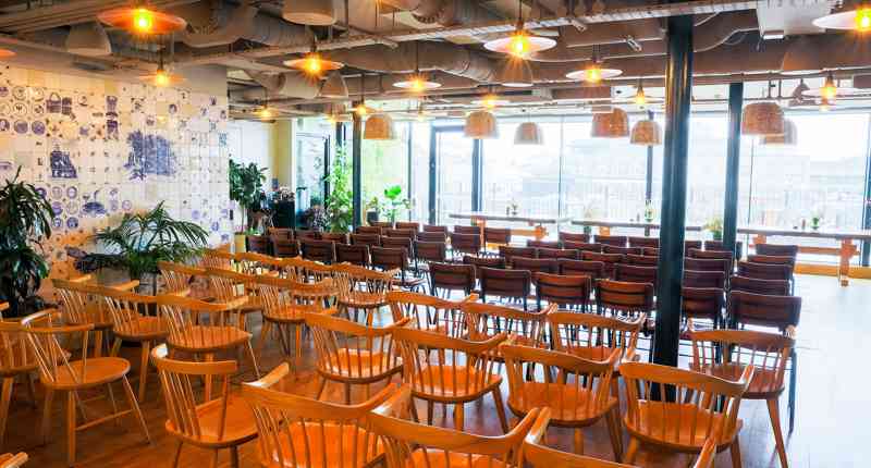 Rucola Panel Facing Window