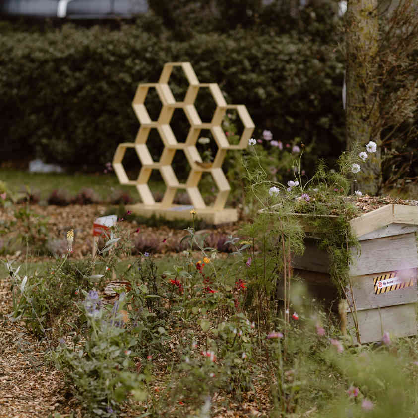 LEX Sustainability Image