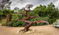 Love Lock Tree