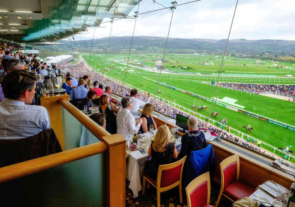 Slh Cheltenham Festival Grandstand Panorama 39683311873 O